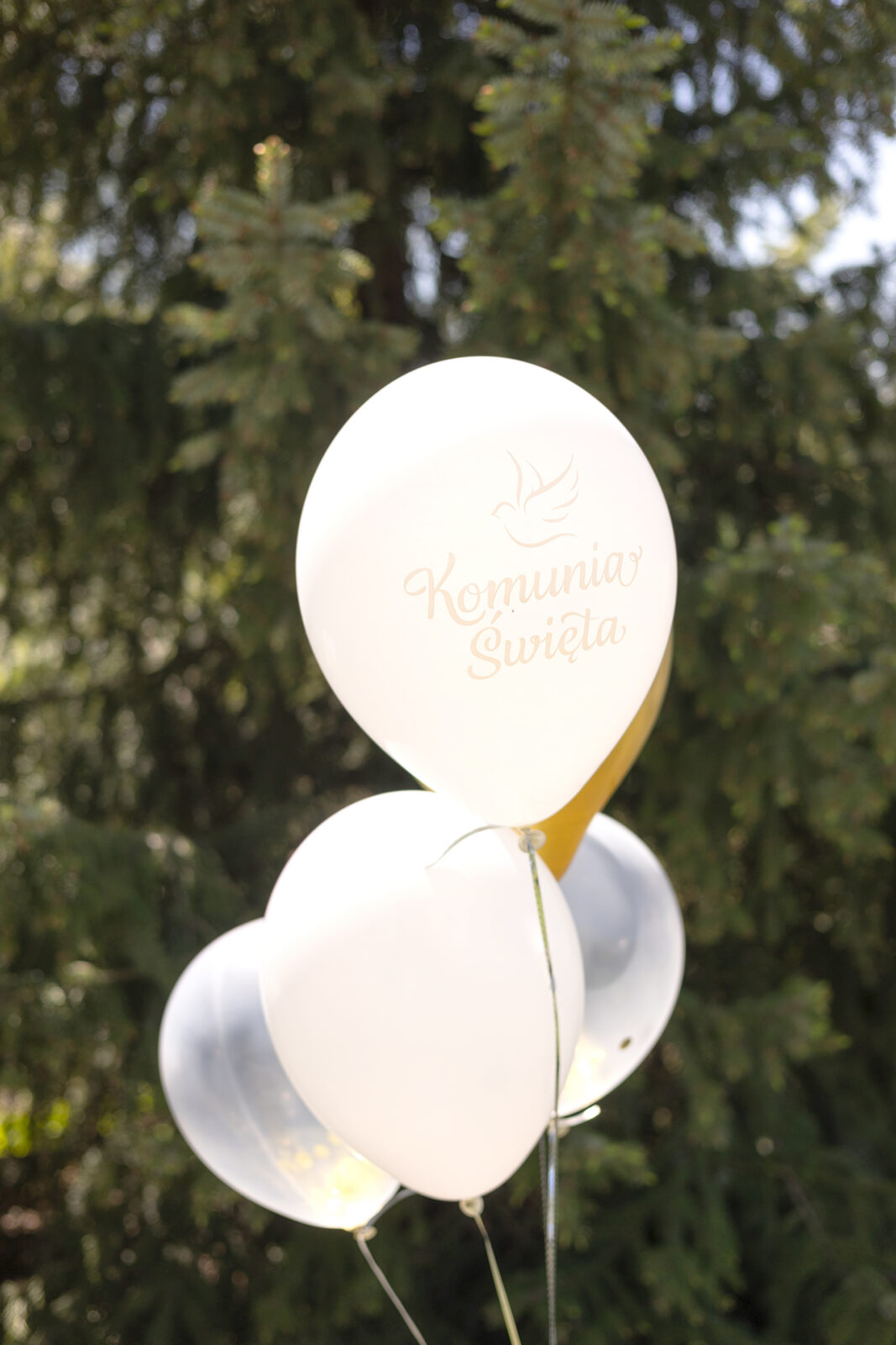 Zdjęcie z realizacji I Komunia Święta